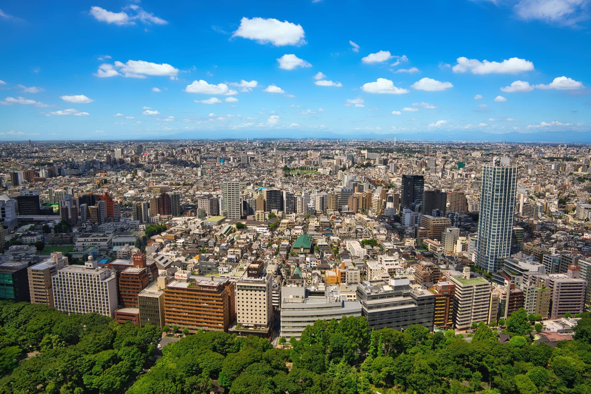 Nicotine Pouches Import to Japan: Why Standard Product Doesn't Qualify
