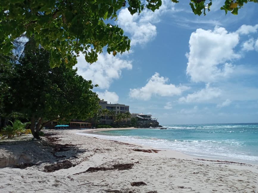 Candy Supplier Barbados