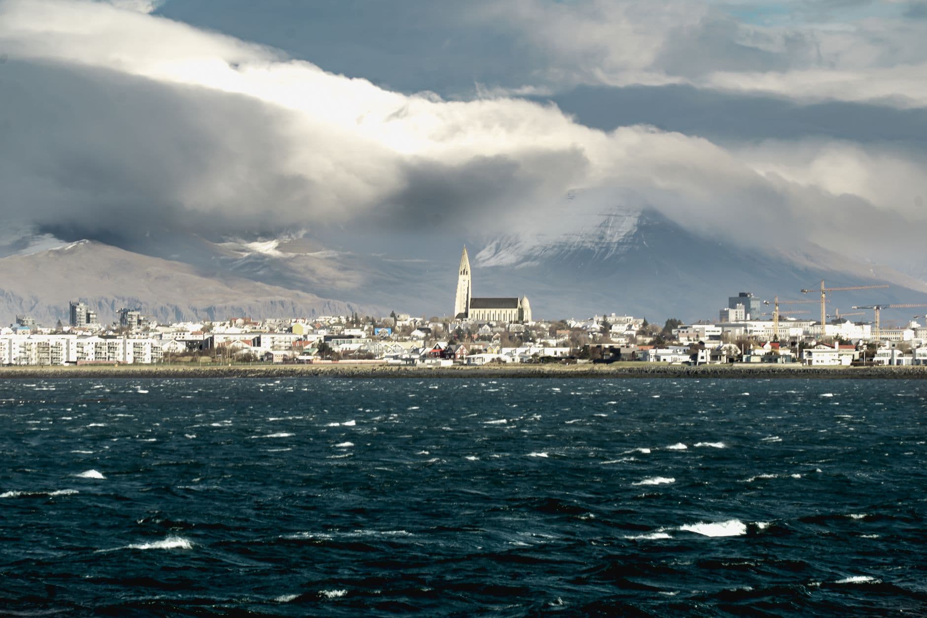 Candy Supplier Iceland