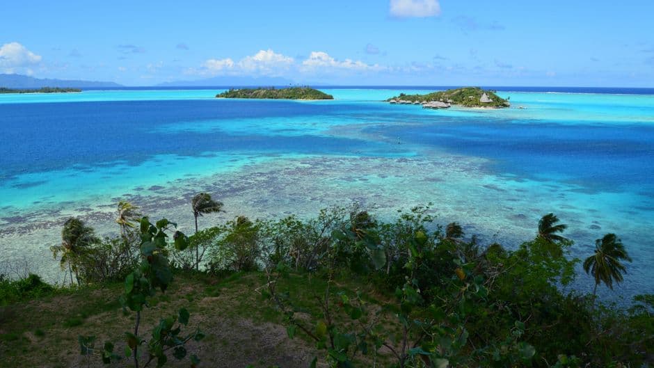 Candy Supplier Micronesia
