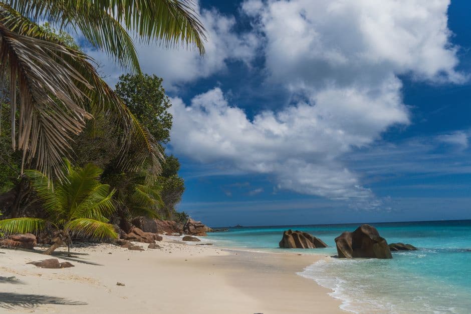 Candy Supplier Seychelles